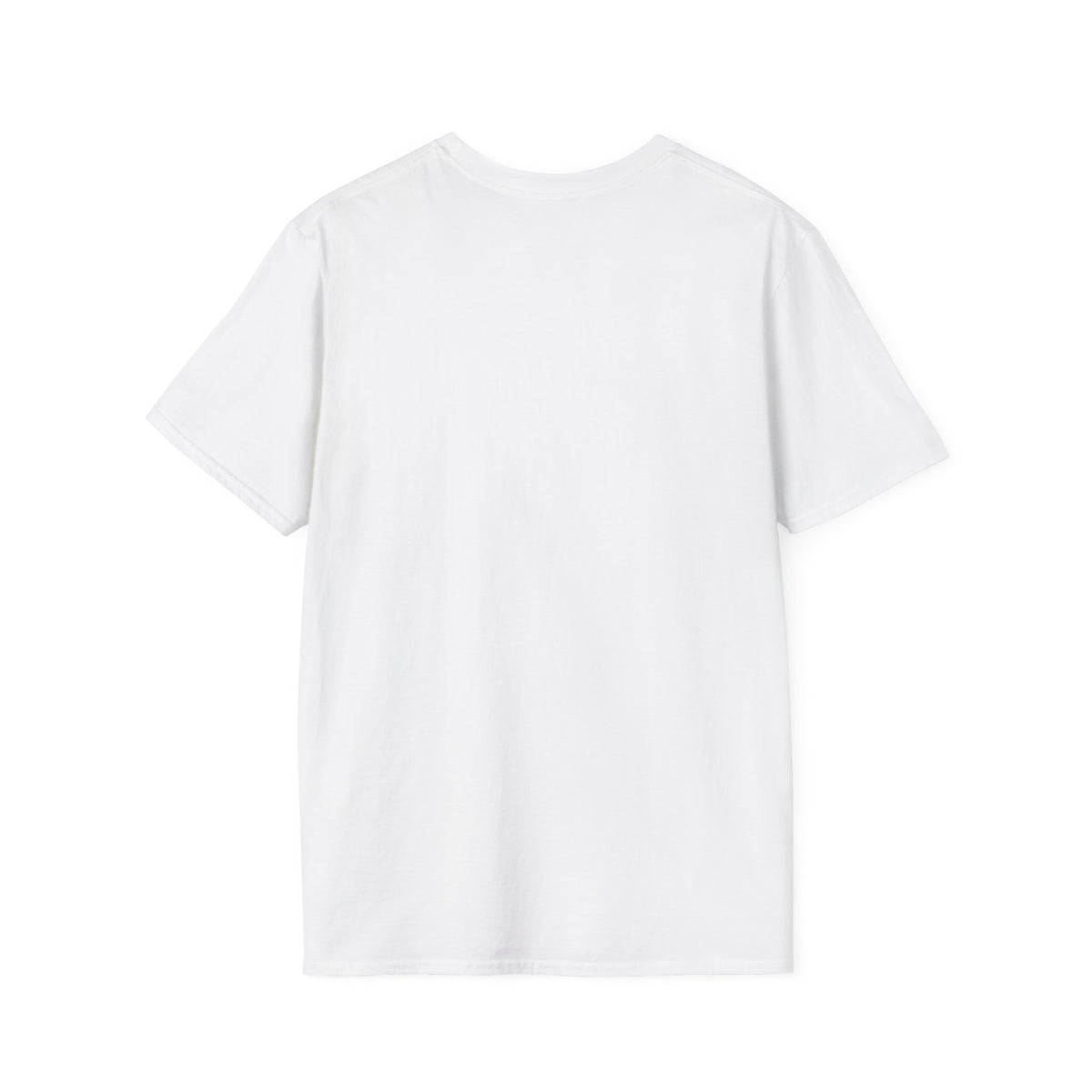 Please Excuse My Dear Aunt Sally T-Shirt — Funny Aunt Graphic Tee