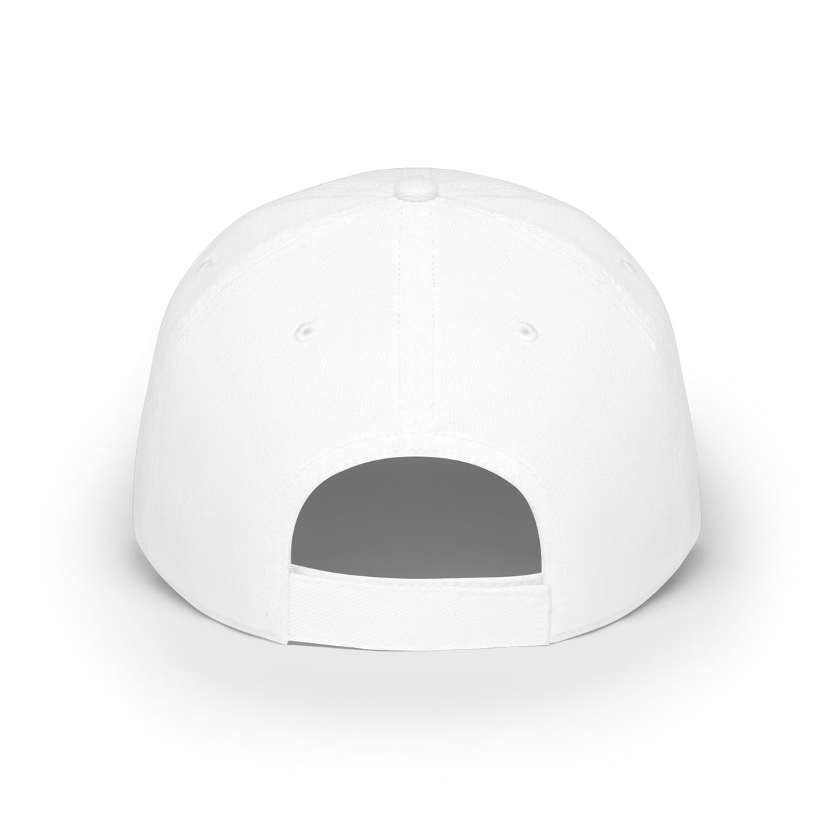 Low Profile Baseball Cap — "I Need To Know How" Logo Hat